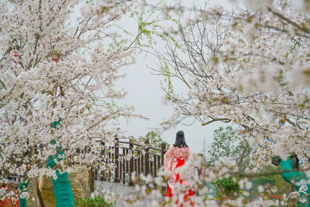 1648011072388.jpg 6.jpg